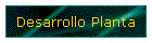 Desarrollo Planta